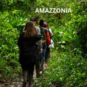 AMAZZONIA