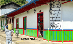 ARMERIA