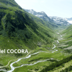 Giorno 4 - Armenia - Valle del Cocora - Armenia