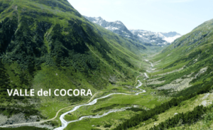 COCORA
