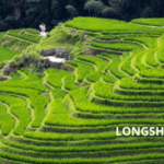 Giorno 6 - Xi'An - Guilin - Longsheng - Guilin