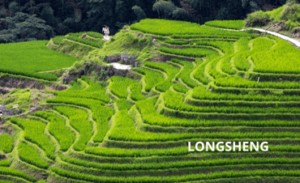LONGSHENG