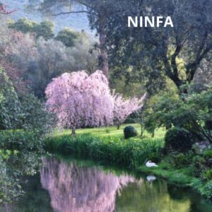 NINFA
