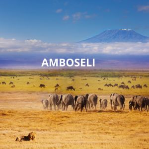 AMBOSELI