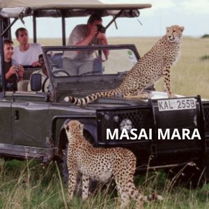 MASAI MARA