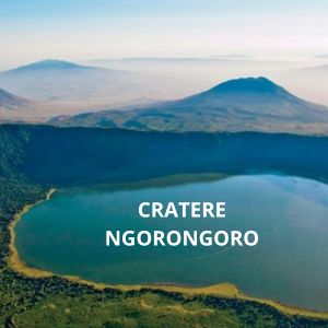 cratere ngorongoro