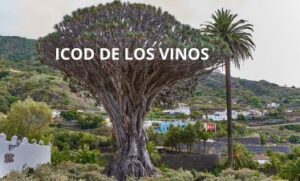 icod de los vinos