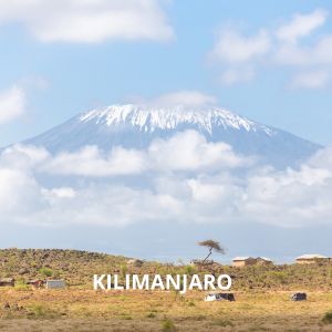 kilimangjaro