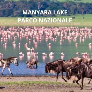 manyara