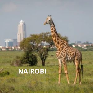 nairobi
