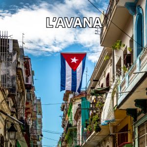 L'AVANA